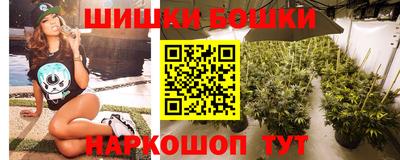 дмт Шелехов