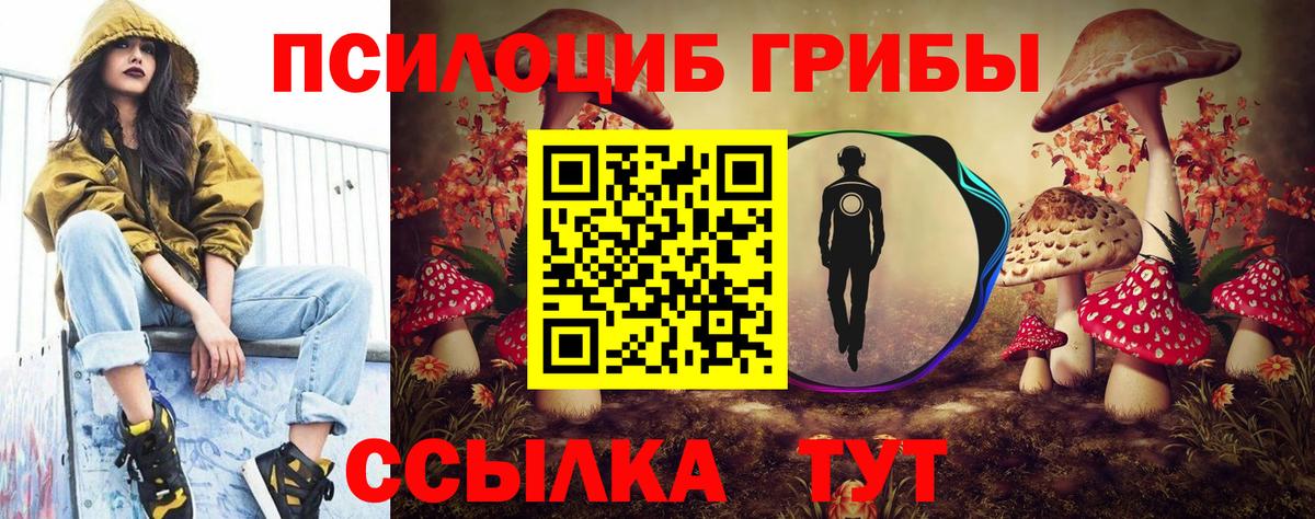 Псилоцибиновые грибы ЛСД Истра